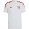 Adidas Bayern München Polo 2022-2023 -Fußballbedarf Rabatt 102953 1