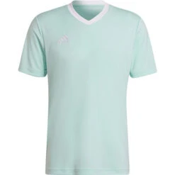 Adidas Entrada 22 Training T-Shirt