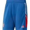 Adidas Bayern München Training Short 2022/2023