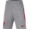 Nike Liverpool Strike Short Kinder 2022/2023 -Fußballbedarf Rabatt 158673 10