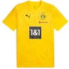 Puma Borussia Dortmund Training T-Shirt 2023/2024 -Fußballbedarf Rabatt 162063 1