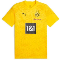 Puma Borussia Dortmund Training T-Shirt 2023/2024
