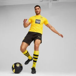 Puma Borussia Dortmund Training T-Shirt 2023/2024 -Fußballbedarf Rabatt 162063 4