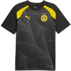 Puma Borussia Dortmund Prematch T-Shirt 2023/2024
