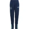 Adidas Ajax Trainingshose Kinder 2023/2024