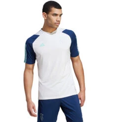Adidas Ajax Training T-Shirt 2023/2024