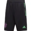 Adidas Bayern München Training Short 2023/2024 -Fußballbedarf Rabatt 169009 4